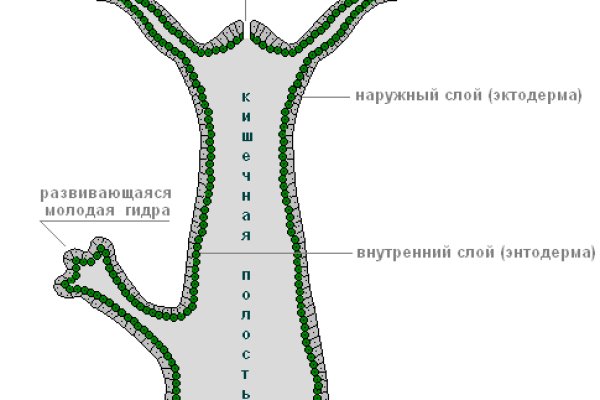 Кракен ссылки тор рабочая